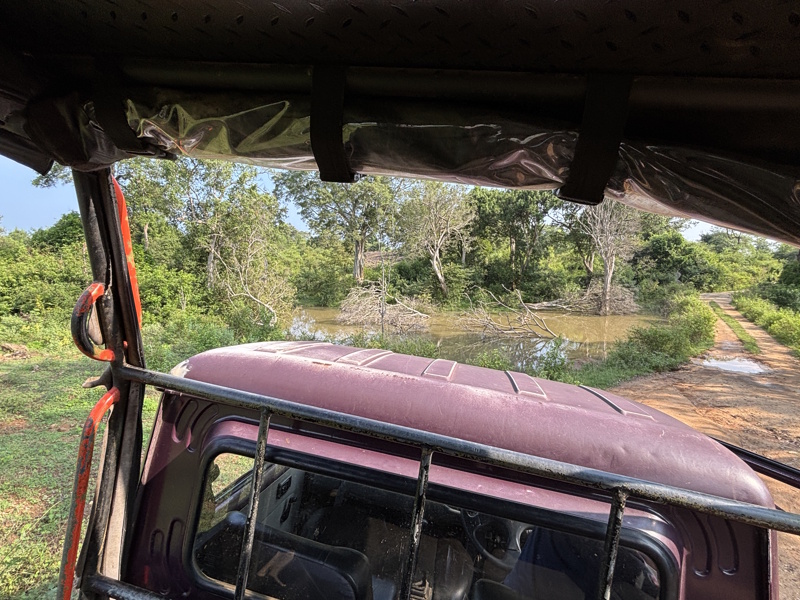 Jeep rijden in Udawalawe National Park