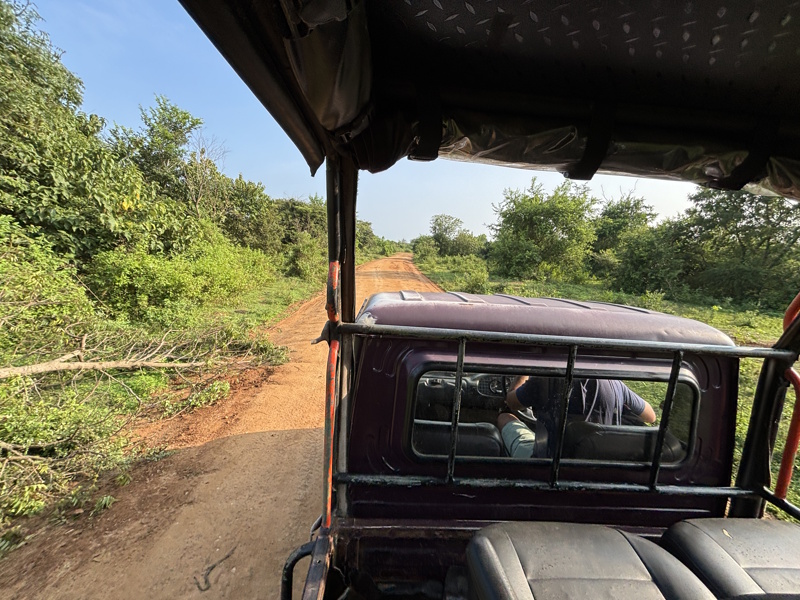 Jeep Udawalawe National Park