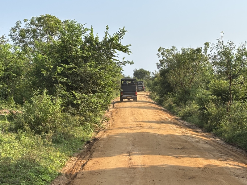 Weg Udawalawe National Park