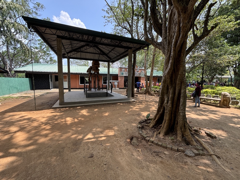 Udawalawe olifanten opvangcentrum en skelet