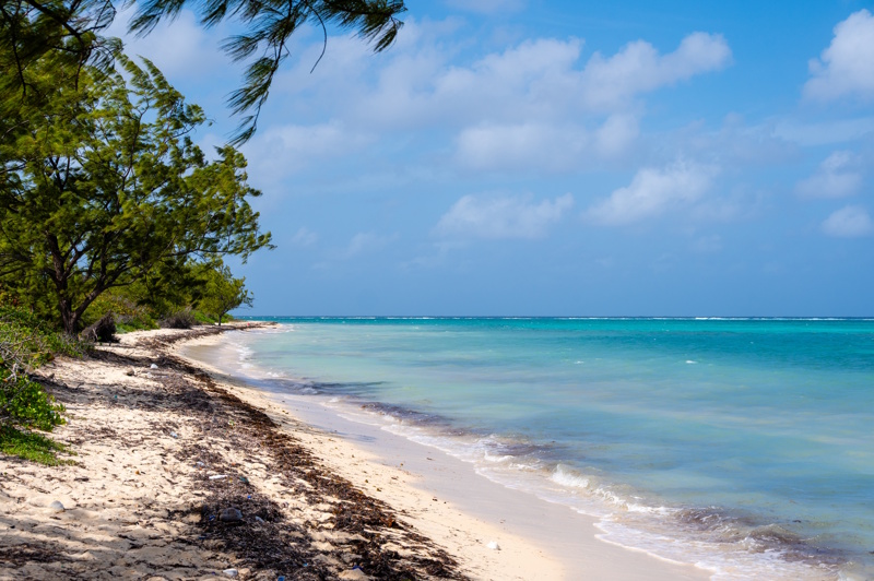 Strand Kaaimaneilanden Barker's National Park