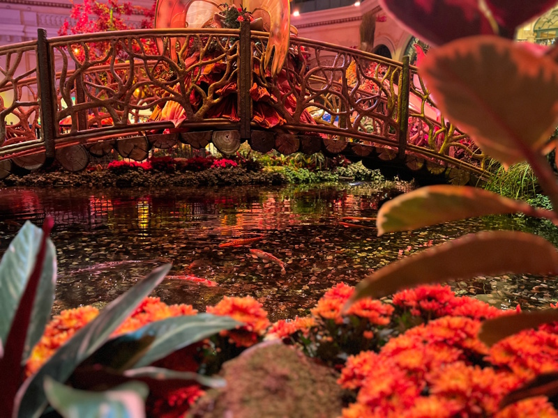 Las Vegas botanische tuin