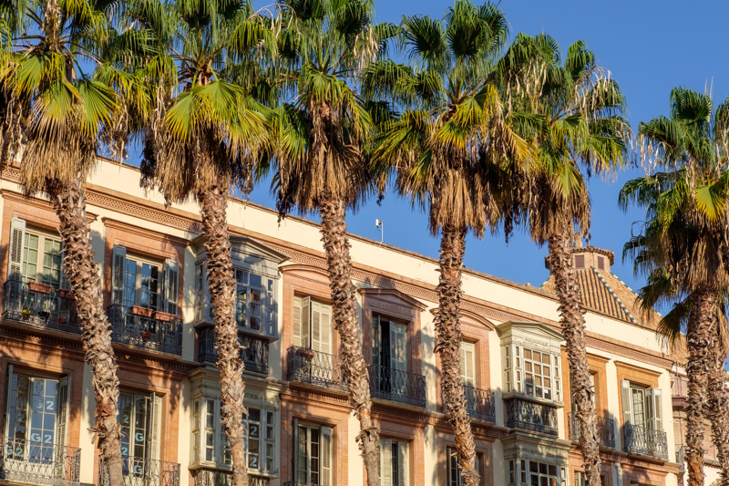 Malaga stadsplein palmbomen