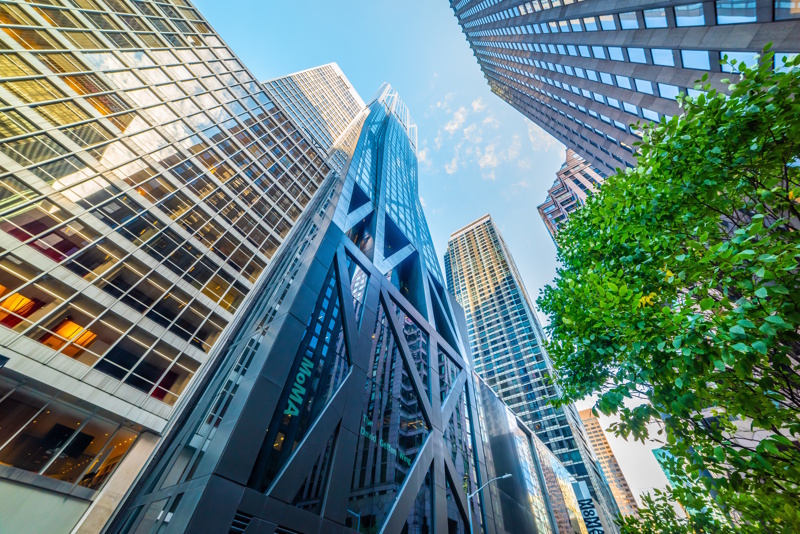 New York MoMa Museum