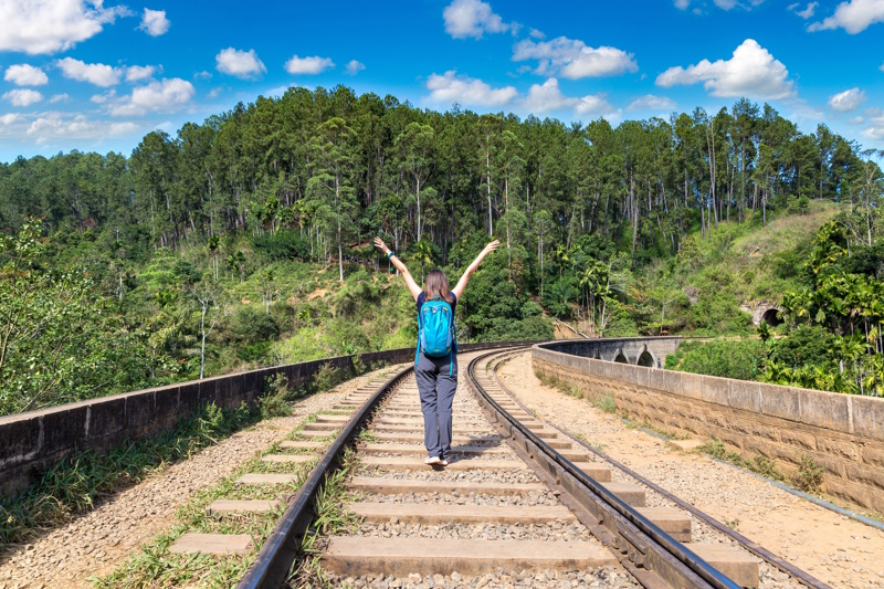 Lopen Nine Arch Bridge