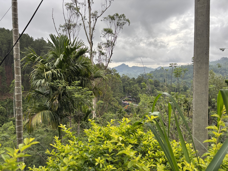 Uitzicht Nine Arch Bridge