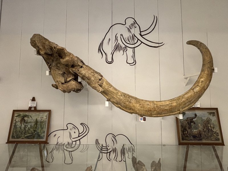 Mammoettand Spa Museum Piestany