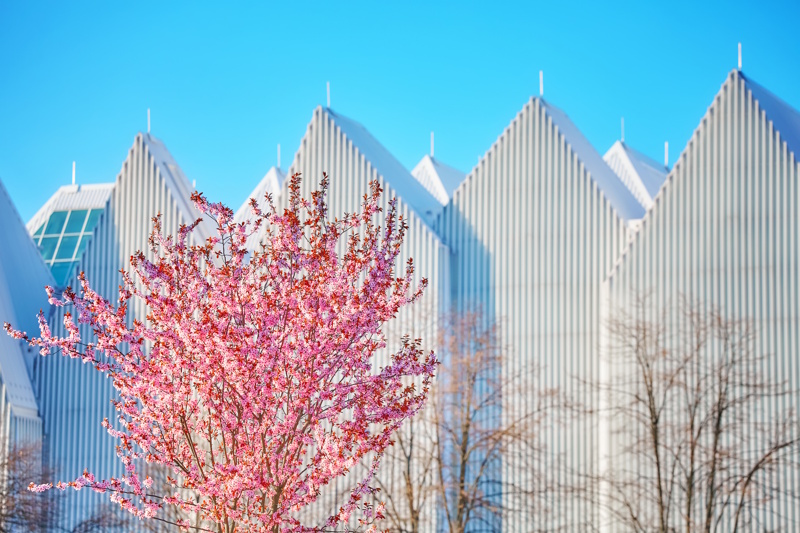 Szczecin concertzaal