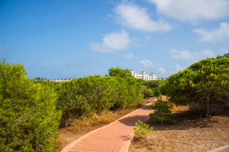 Molino del Agua in Torreviejo