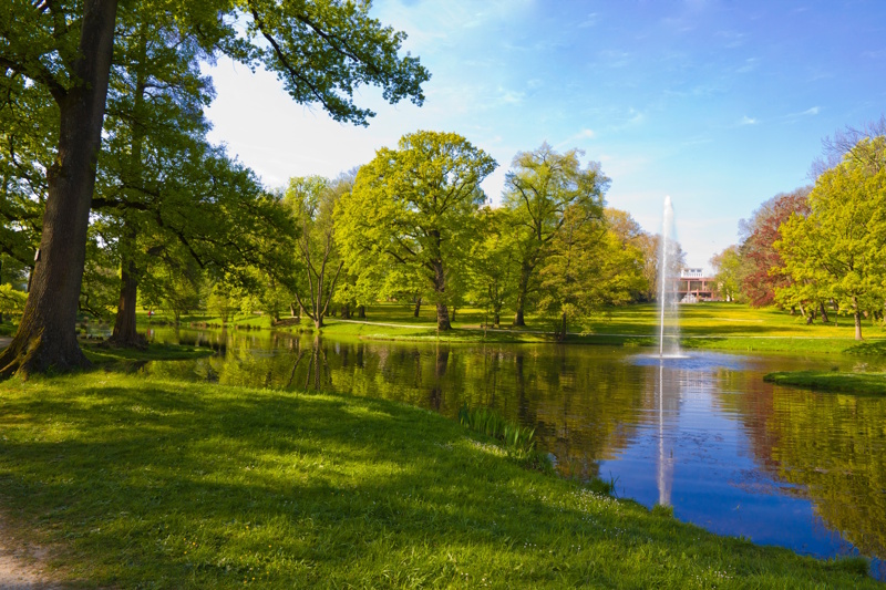 Kurpark in Bad Homburg