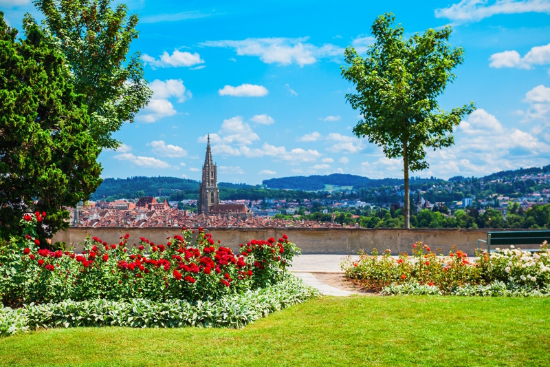 Bern rozentuin