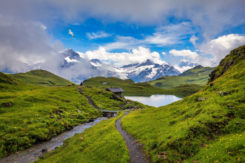 Grindelwald Bachalpsee wandeling