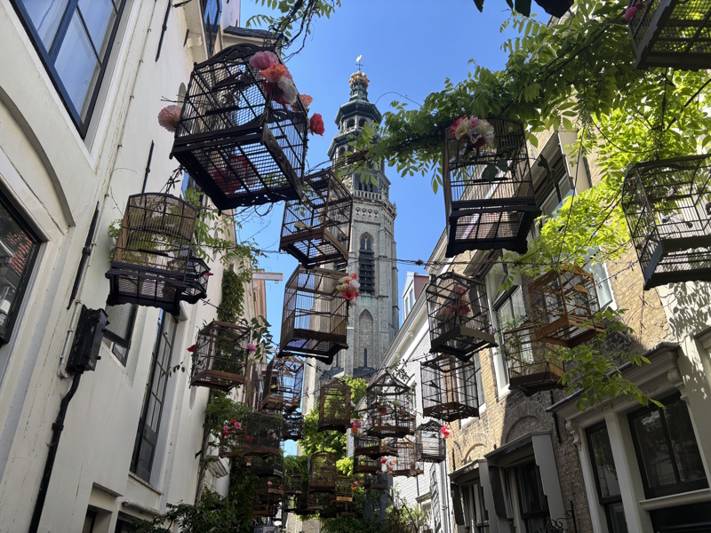 Middelburg Reigerstraat