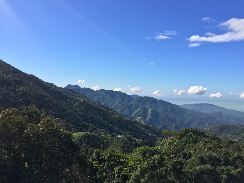 Jamaica Blue Mountains National Park