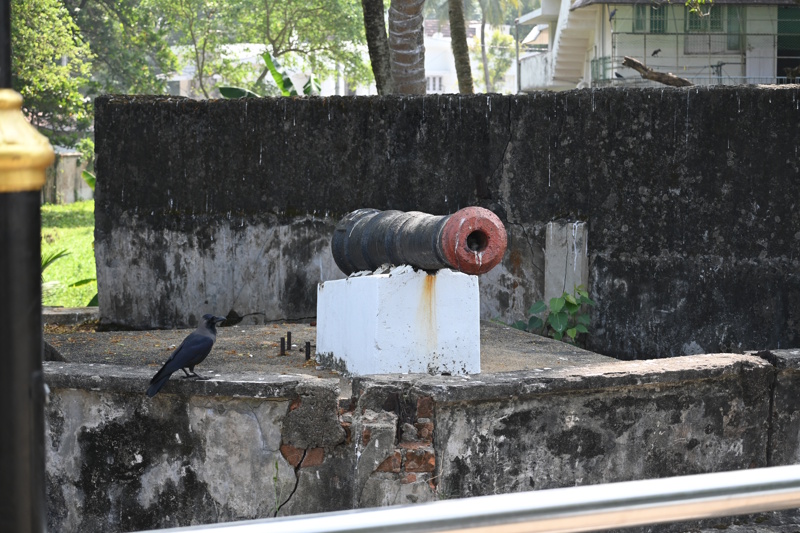 Kochi Fort kanon
