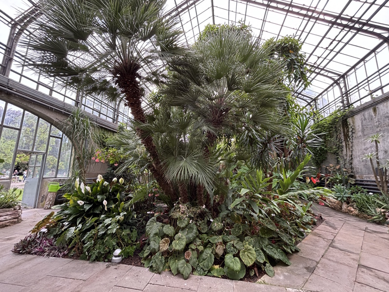 Konstanz Palmenhaus