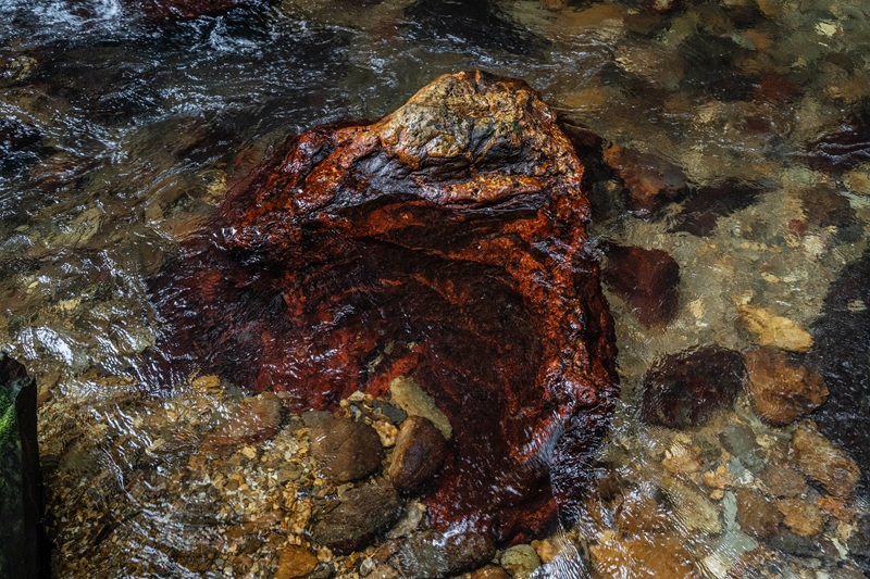 Trinidad And Tobago Avocat waterfall