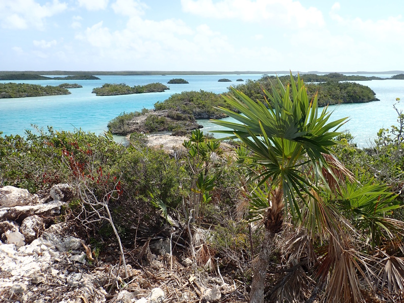 Turks Caicoseilanden Chalk Sound National Park