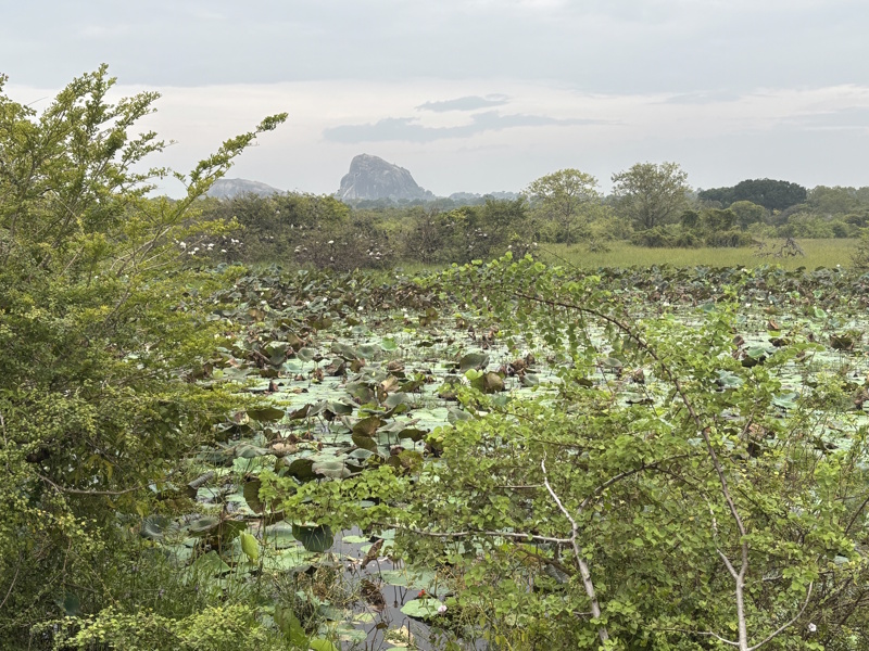 Bezoeken Yala National Park