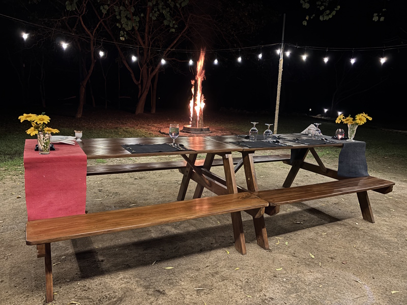 Yala National Park Camp Leopard diner