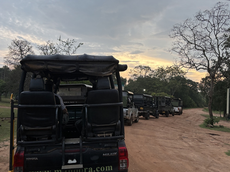 Jeeps Yala National Park