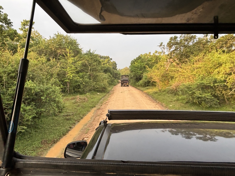 Safari Yala National Park