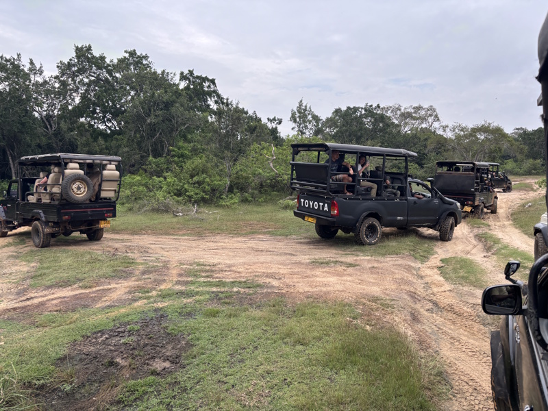 Yala National Park Sri Lanka