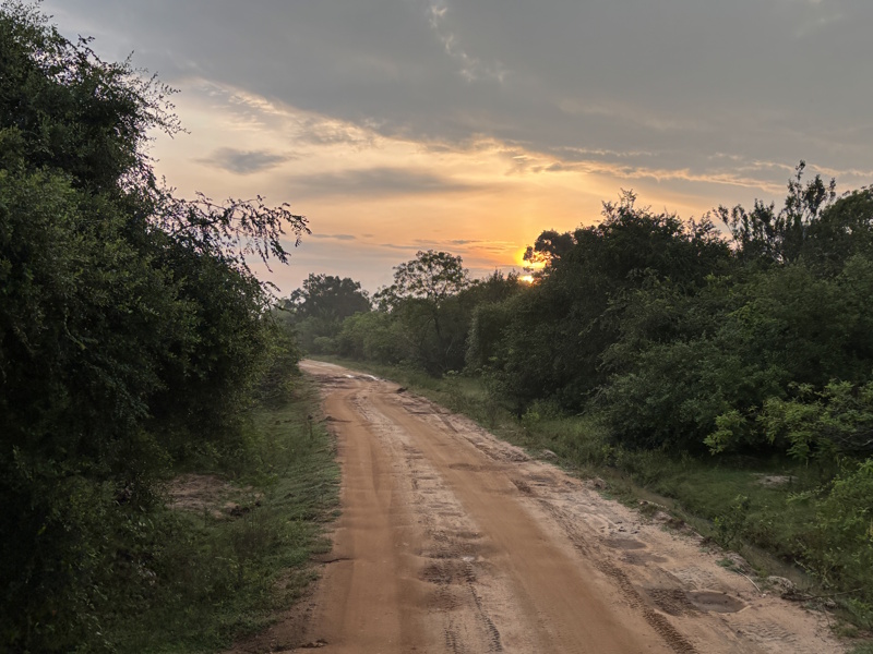 Zonsopgang Yala National Park