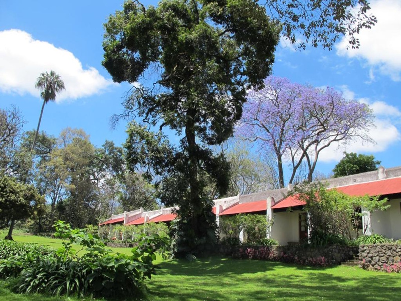 Mountain Lodge in Arusha