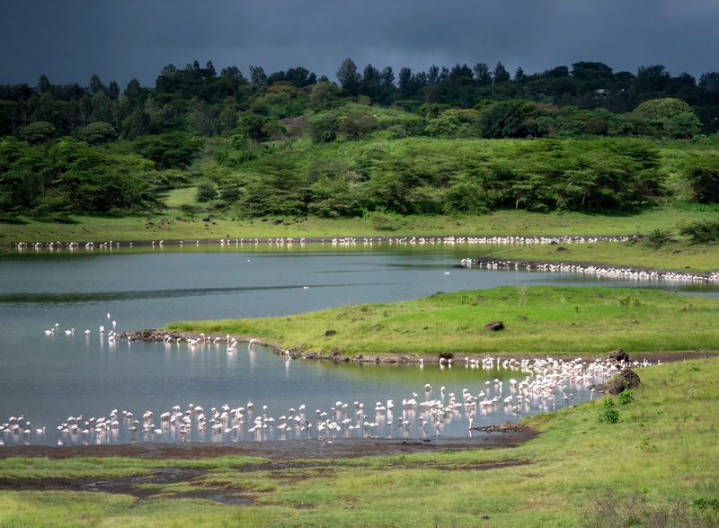 Meren Arusha National Park
