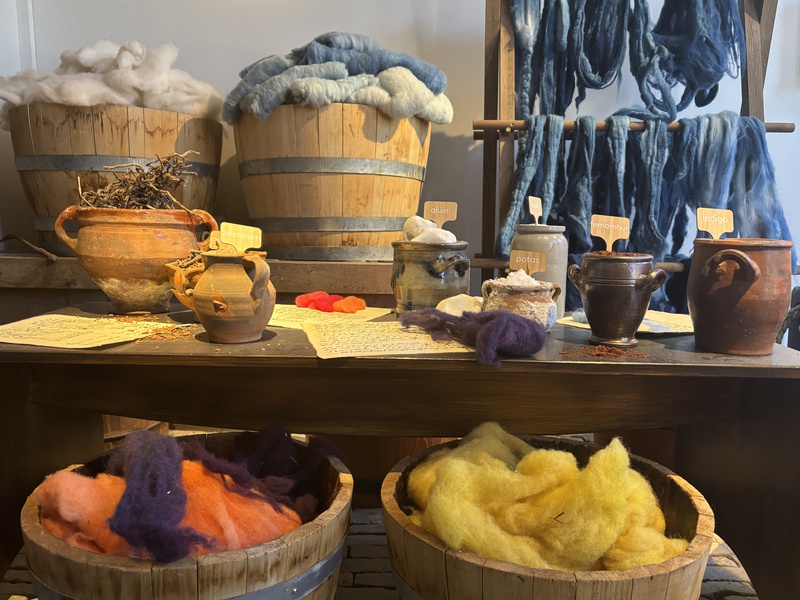 Franeker Eise Eisinga Planetarium wolkammer