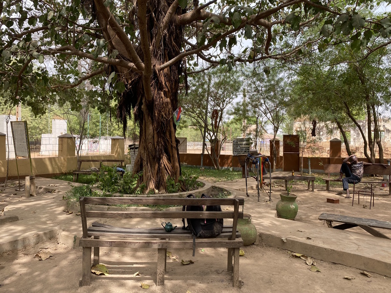 Freedom Tree in Janjanbureh
