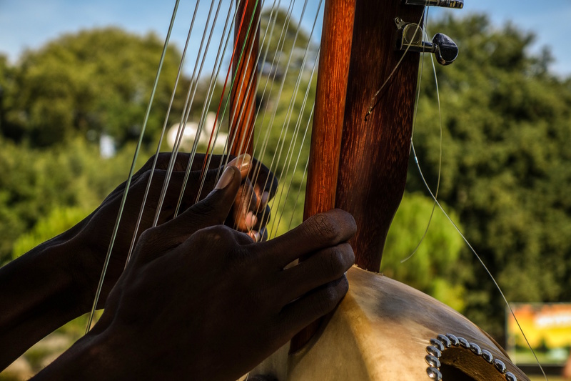Janjanbureh muziekinstrument