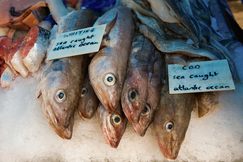 Milk Market in Limerick