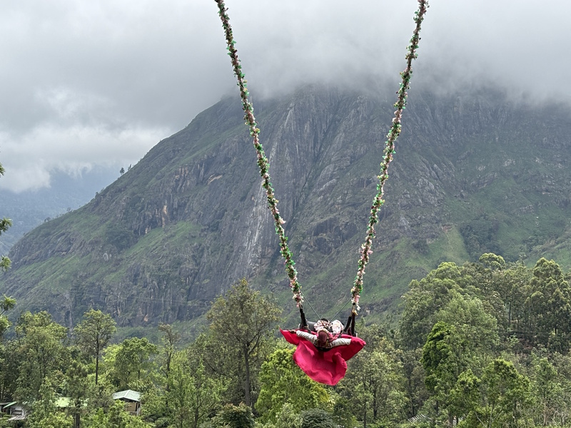 Little Adam's Peak Ella Swing