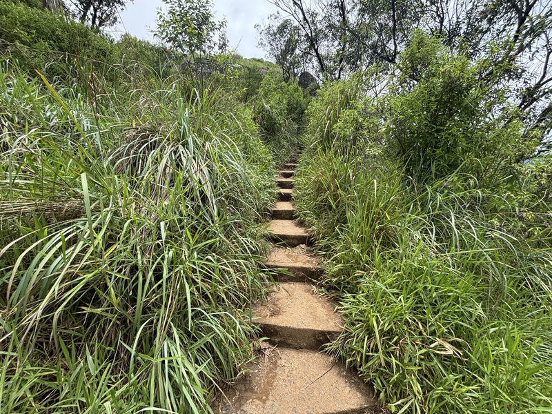 Trappen Little Adam;'s Peak