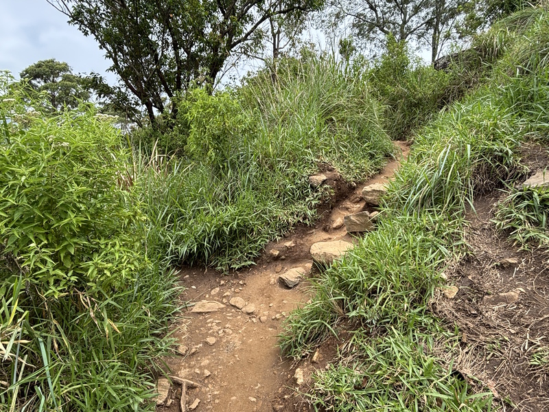 Wandeling Little Adam's Peak