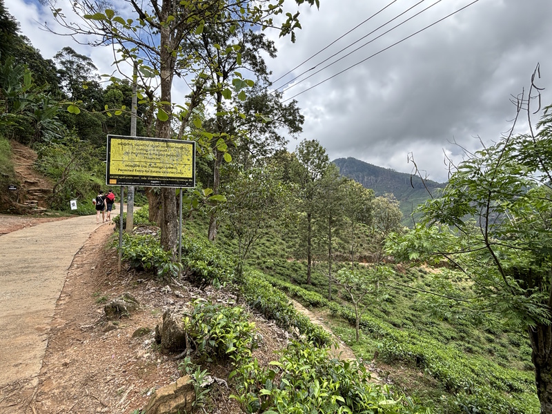 Wandelpad Little Adam's Peak
