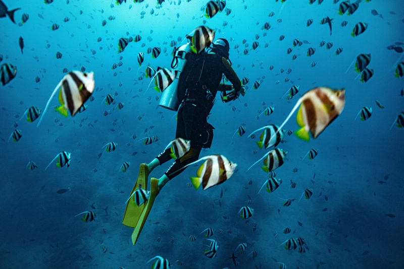 Malediven ontdekken duiken