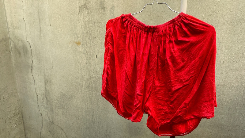 Zwembroek vakantie drogen