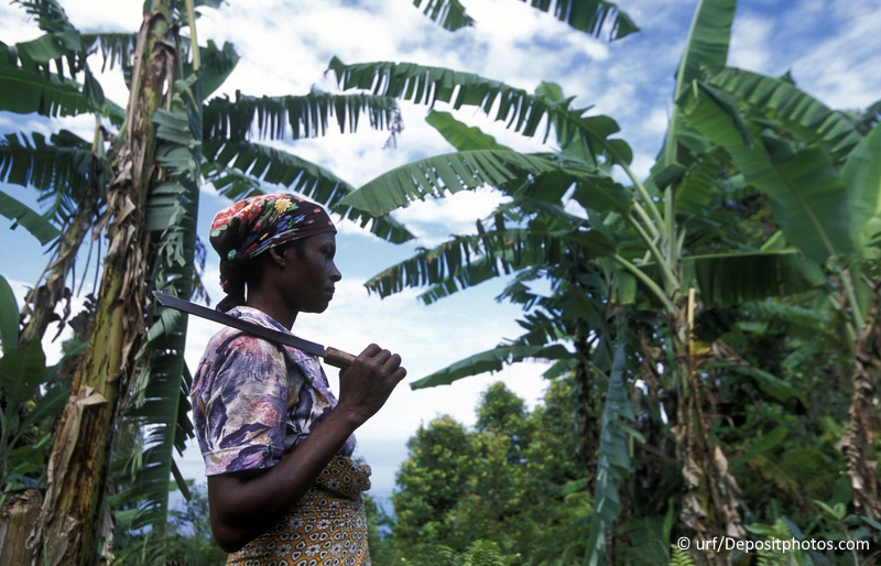 Comoren vakantie tips