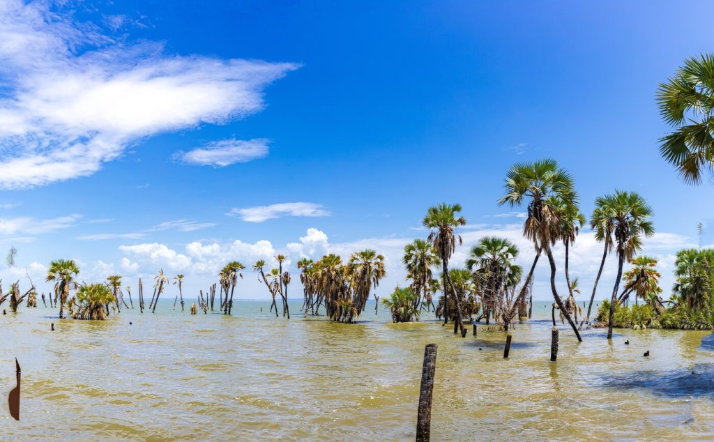 Kenia Turkanameer woestijnmeee