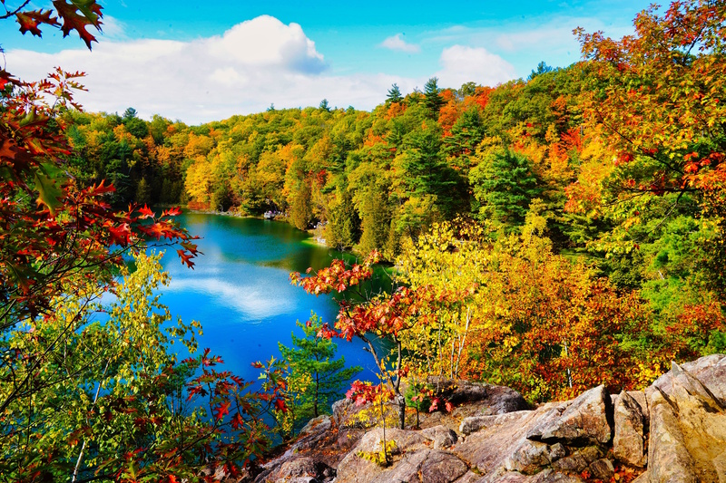 Gatineau Park in Ottawa