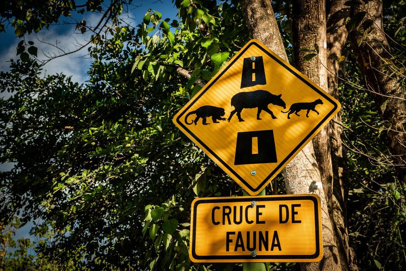 Costa Rica rondreis Spaans
