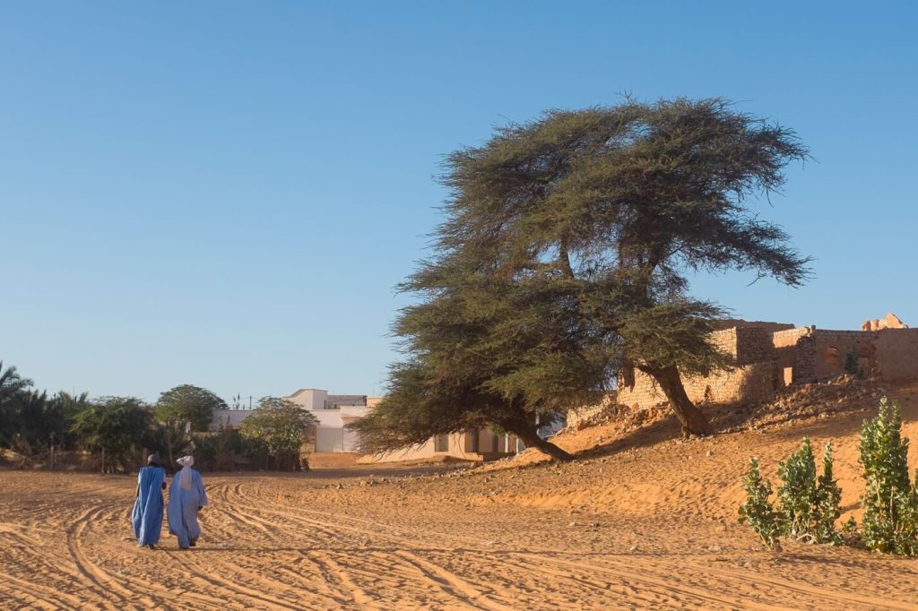 Mauritanië vakantie