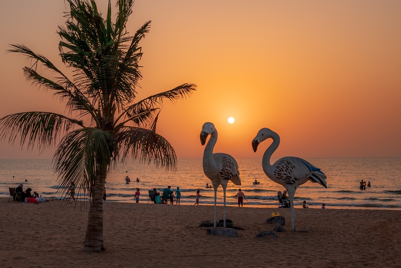 Ras Al Khaimah Flamingo Beach