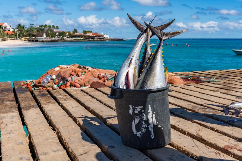 Pier Santa Maria Sal