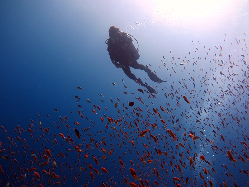 Duiken Blue Hole Sharm el Sheikh
