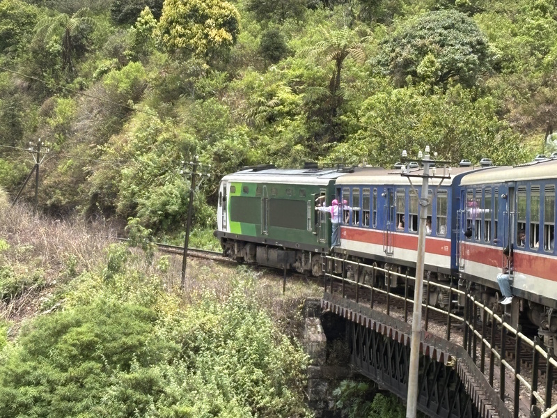 Bocht trein Ella Kandy