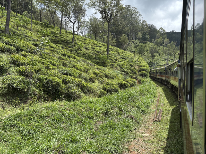 Bossen trein Ella Kandy